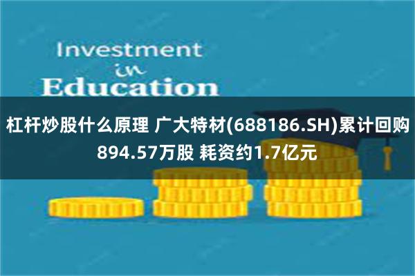 杠杆炒股什么原理 广大特材(688186.SH)累计回购894.57万股 耗资约1.7亿元