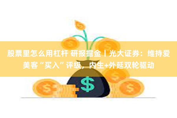 股票里怎么用杠杆 研报掘金丨光大证券：维持爱美客“买入”评级，内生+外延双轮驱动