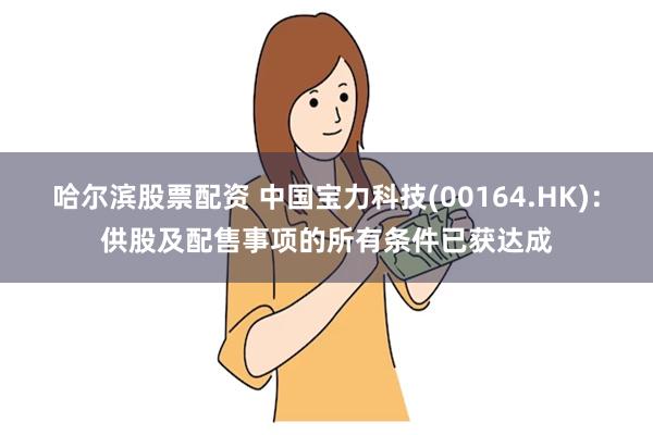 哈尔滨股票配资 中国宝力科技(00164.HK)：供股及配售事项的所有条件已获达成