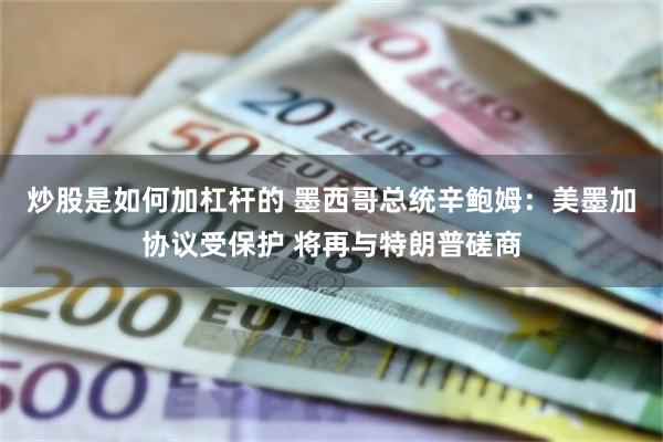 炒股是如何加杠杆的 墨西哥总统辛鲍姆：美墨加协议受保护 将再与特朗普磋商