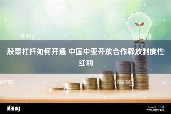 股票杠杆如何开通 中国中亚开放合作释放制度性红利